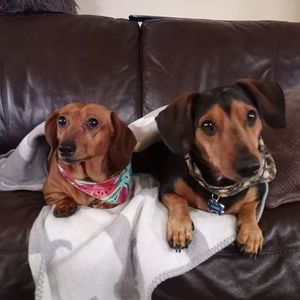 Meet your Posher, April